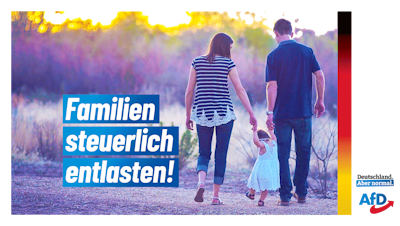 alternativefamilienpolitik.de